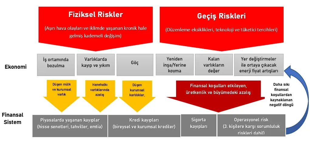 Ekonomik Risk Analizi: Belirsiz Piyasa Stratejileri